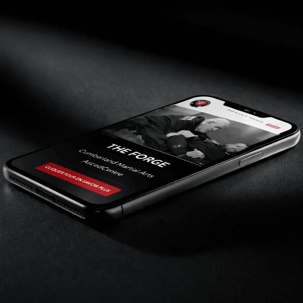 Agence de conception Web bilingue d'Ottawa Agence de conception Web bilingue d'Ottawa